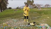 A Palermo arrivano i supereroi della natura