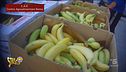 Spreco alimentare, le banane della vergogna