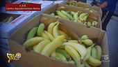 Spreco alimentare, le banane della vergogna