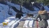 Droni e cani sguinzagliati vietati nel parco, la protesta insensata sui social