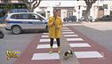Trapani, le strisce pedonali rosso Gabibbo