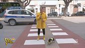Trapani, le strisce pedonali rosso Gabibbo