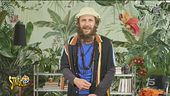 Jovanotti e l'ambiente, polemiche sui concerti