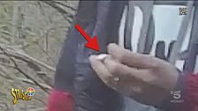 Il boschetto della droga vicino Varese