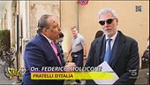 Vespone scatenato