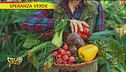 Una vita rurale è possibile, i fondi disponibili