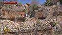 Indiana Ghiones e la necropoli mal segnalata