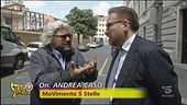 Grillo e le consulenze da guru