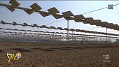Ambiente Ciovani, agrivoltaico o agrisolare?