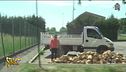 Truffa della legna da ardere, i furbetti ci riprovano