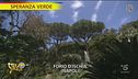 Giardini La Mortella a Forio d'Ischia (NA)