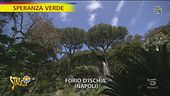 Giardini La Mortella a Forio d'Ischia (NA)