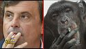 Politici identici agli animali: indovinate quali