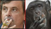 Politici identici agli animali: indovinate quali