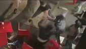 Baby gang, a Modena giovani picchiatori