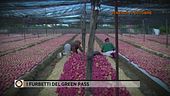 I furbetti del green pass
