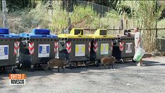 Roma si prepara al voto delle amministrative