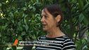 Denise Pipitone: fuga di notizie dalla procura