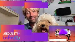 Massimiliano Rosolino cerca un fidanzato per la sua cagnolina Bella