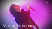 Riccardo Cocciante, il poeta dell'anima