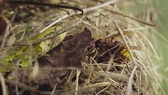 Ep. 1 - L' inverno sta arrivando