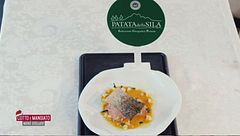 Trancio di salmone nel court bouillon e bourguignonne di manzo