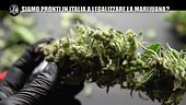 Il referendum: siamo pronti in Italia a legalizzare la cannabis?