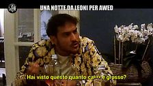 CORTI: Lo scherzo a Awed: difenderà i suoi amici Amedeo Preziosi e Riccardo Dose?