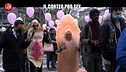 CORDARO: Il corteo del piacere
