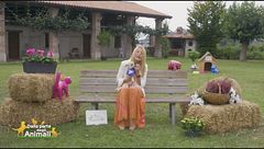 Puntata del 17 ottobre