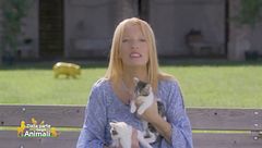 Puntata del 24 ottobre