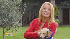 Puntata del 28 novembre