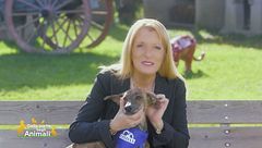 Puntata del 9 gennaio