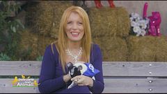 Puntata del 16 gennaio