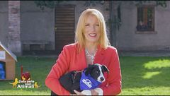 Puntata del 23 gennaio