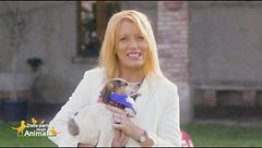 Puntata del 6 febbraio