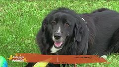 Orlando con Mariachiara, Marco e il figlio Michele