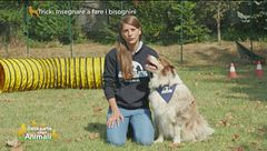 Trick: insegnare a fare i bisognini