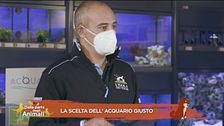 La scelta dell'acquario giusto