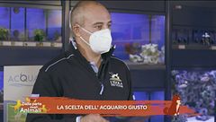 La scelta dell'acquario giusto