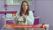 Allergie e alimentazione