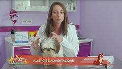 Allergie e alimentazione
