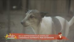 Le notizie dal mondo