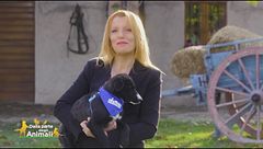 Puntata del 20 febbraio