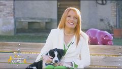 Puntata del 20 marzo