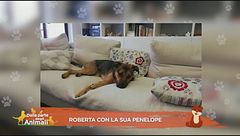 Roberta con la sua Penelope