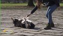 Impariamo divertendoci
