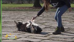 Impariamo divertendoci