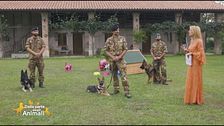 Gruppo cinofilo di Grosseto