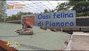 L'oasi felina di Pianoro